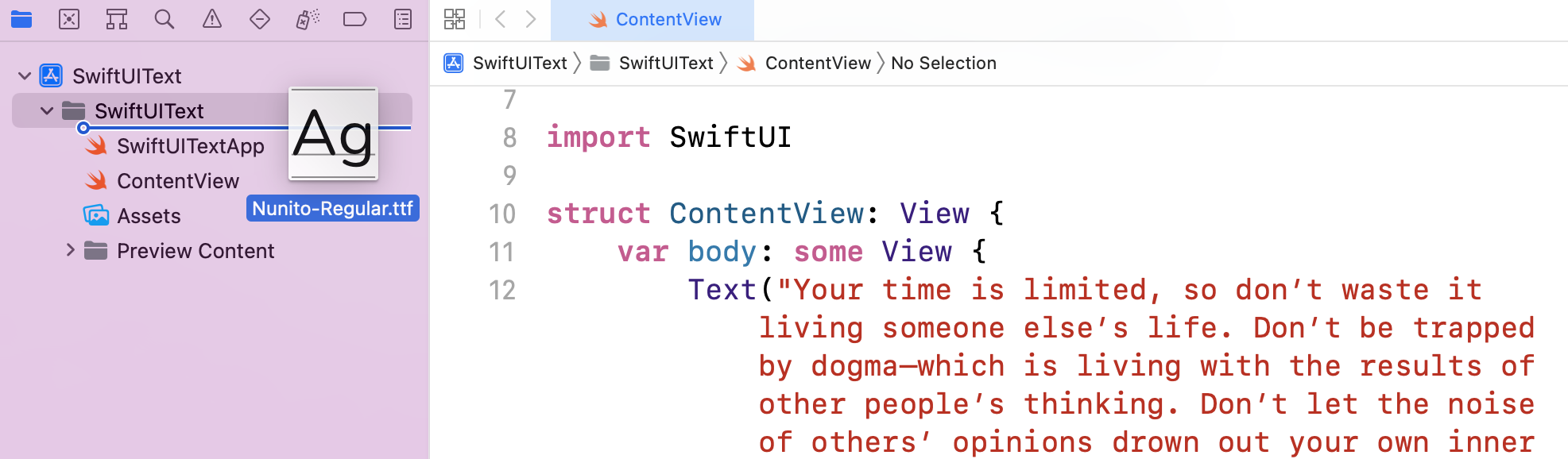 图 16. 将字体档加到你的 Xcode 项目中